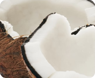 Aceite MCT C8 de coco